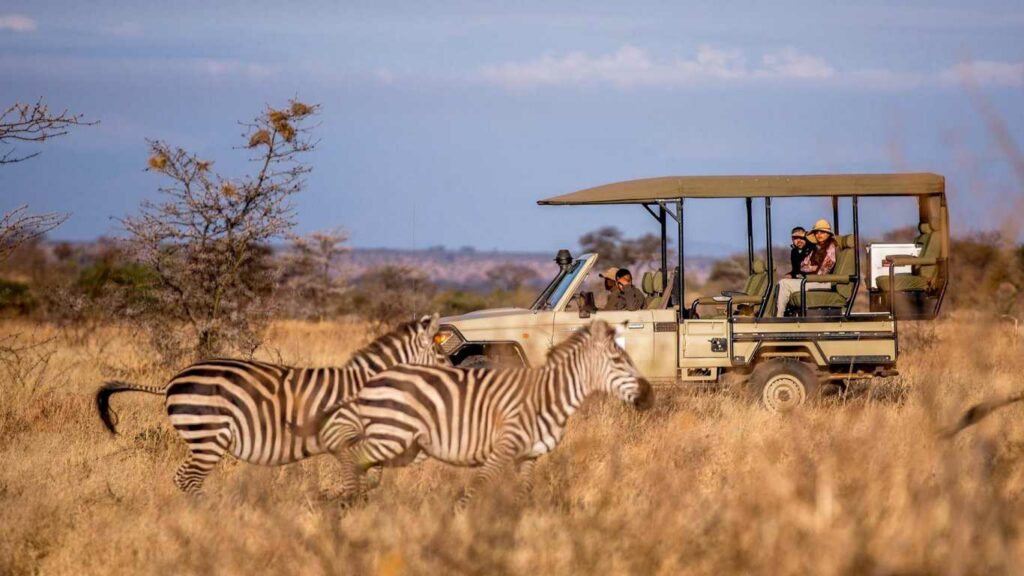 Safari vehicle with guests