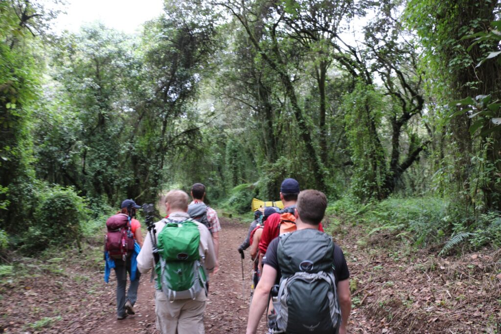 Kilimanjaro 1 Day Hike