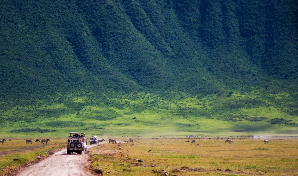 Ngorongoro Crater Day Tour