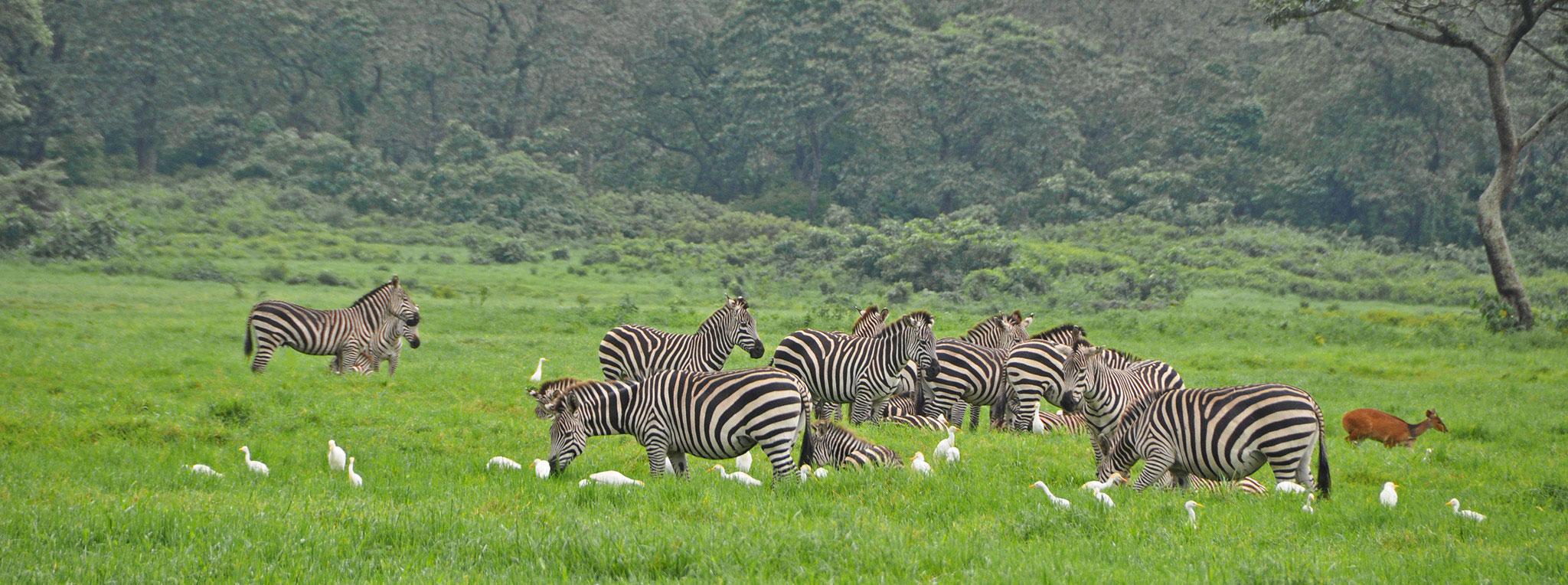Arusha National Park