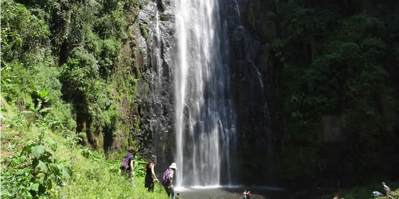 Materuni Waterfalls & Coffee Tour